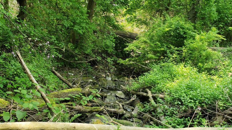 Riverwalk Trail - New Castle, PA