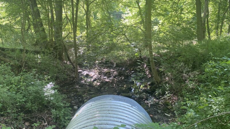 Riverwalk Trail - New Castle, PA