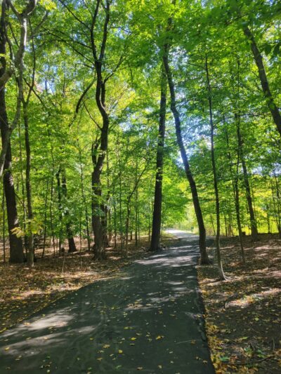 Demarest Kill County Park - New City, NY