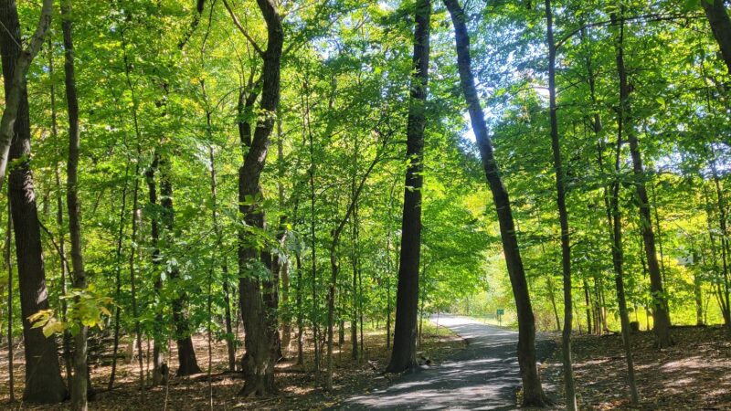 Demarest Kill County Park - New City, NY