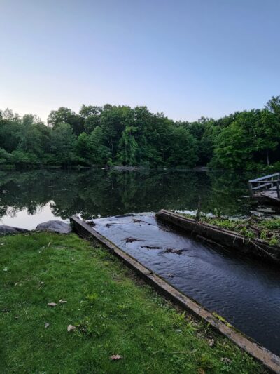 Demarest Kill County Park - New City, NY
