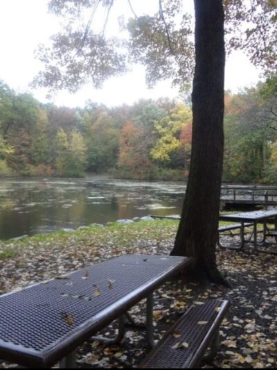 Demarest Kill County Park - New City, NY