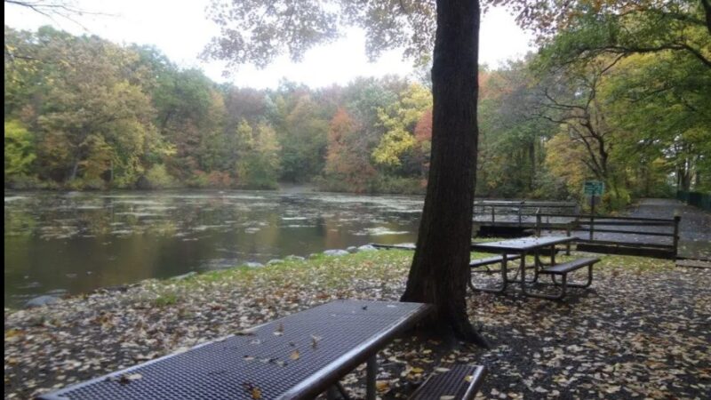 Demarest Kill County Park - New City, NY