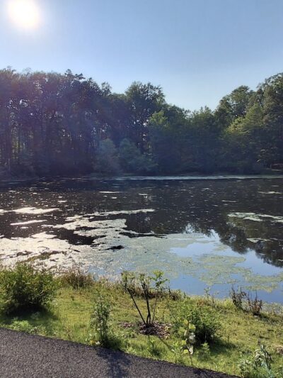 Demarest Kill County Park - New City, NY