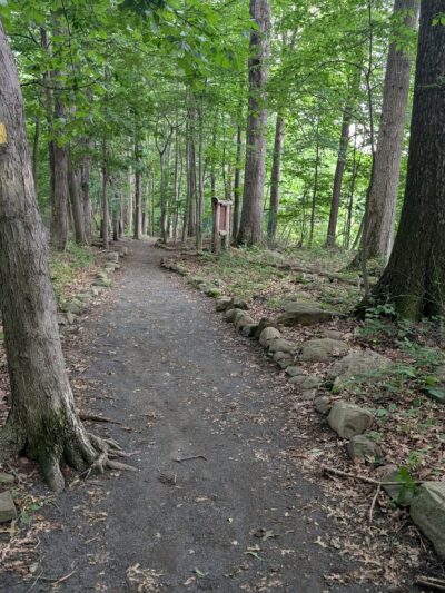 Kennedy - Dells County Park - New City, NY