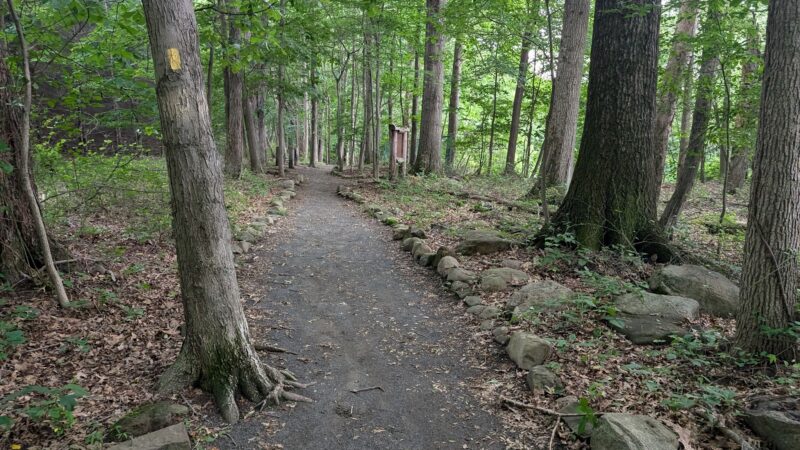 Kennedy - Dells County Park - New City, NY