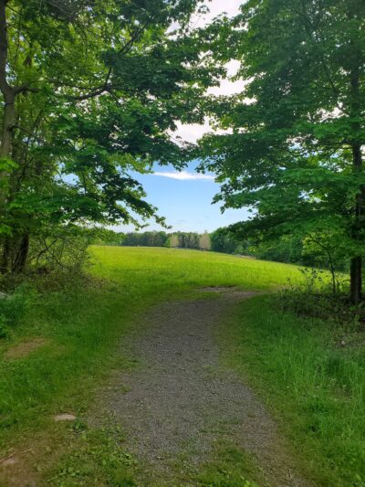 Kennedy - Dells County Park - New City, NY