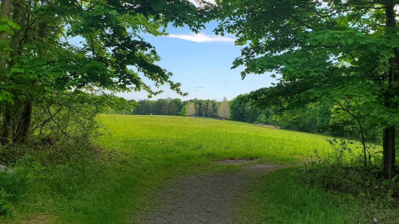 Kennedy - Dells County Park - New City, NY
