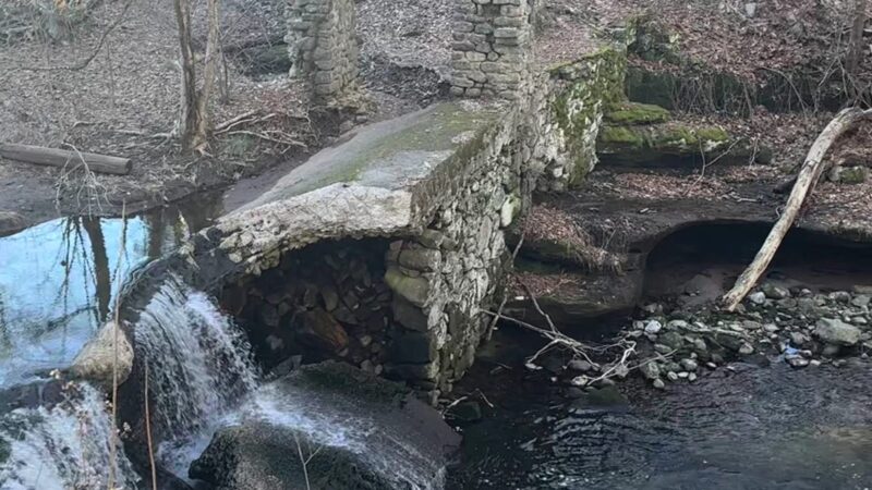 Kennedy - Dells County Park - New City, NY