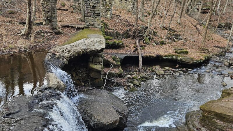 Kennedy - Dells County Park - New City, NY