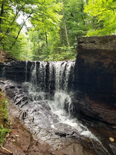 Kennedy Dells Dog Park - New City, NY