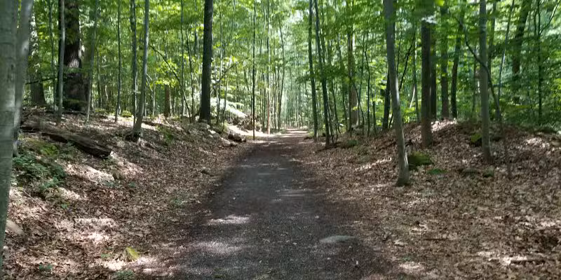 Kennedy Dells Dog Park - New City, NY