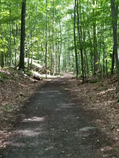 Kennedy Dells Dog Park - New City, NY