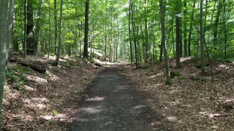 Kennedy Dells Dog Park - New City, NY