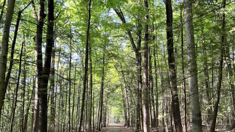 Kennedy Dells County Park Loop Hike - New City, NY