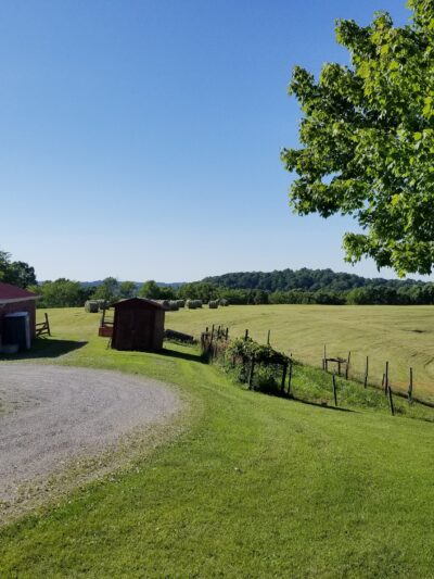 Springhill Animal Clinic - New Freeport, PA
