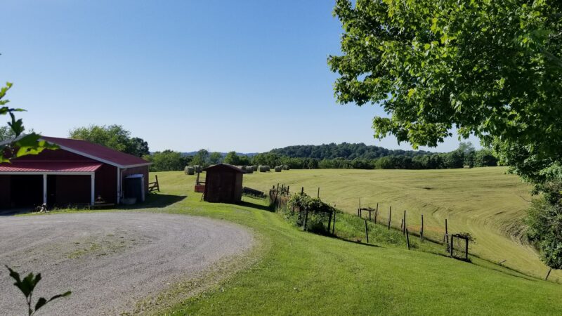Springhill Animal Clinic - New Freeport, PA