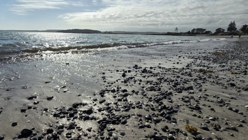 Pemaquid Beach Park - New Harbor, ME