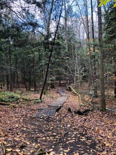 Sherrill Brook Park - New Hartford, NY