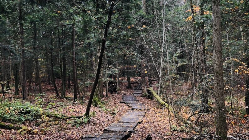 Sherrill Brook Park - New Hartford, NY