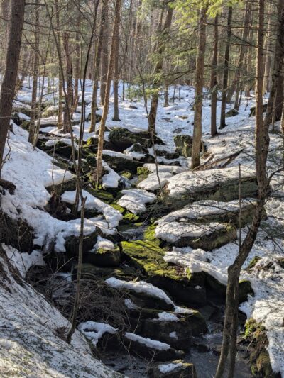 Sherrill Brook Park - New Hartford, NY