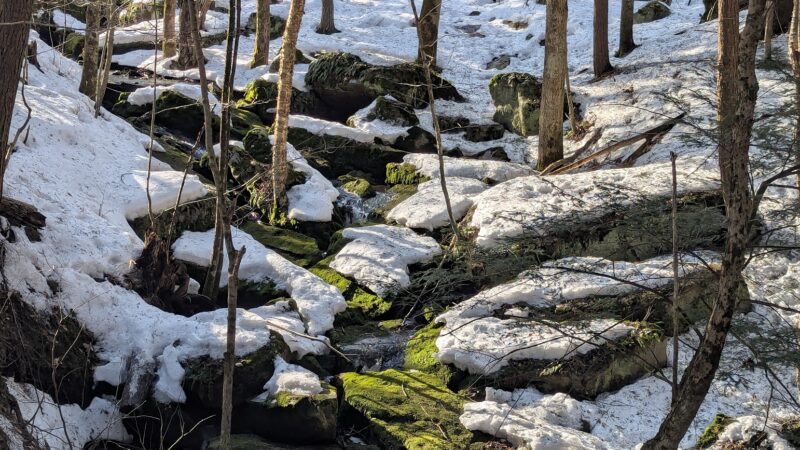 Sherrill Brook Park - New Hartford, NY