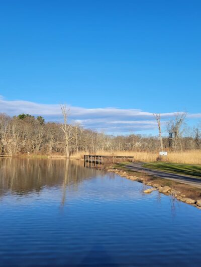 Edgewood Park - New Haven, CT