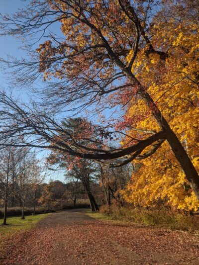 Edgewood Park - New Haven, CT