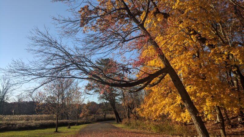Edgewood Park - New Haven, CT