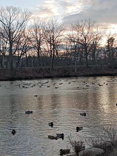 Edgewood Park - New Haven, CT