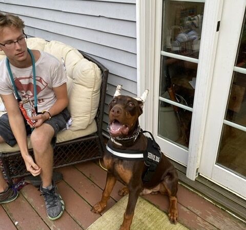 Fox Farm Kennel - New Ipswich, NH