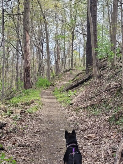 Barking Slopes Conservation Area - New Kensington, PA