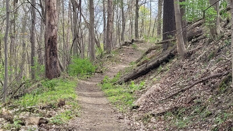 Barking Slopes Conservation Area - New Kensington, PA