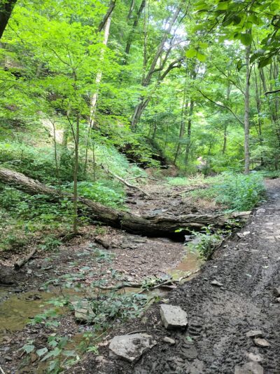 Barking Slopes Conservation Area - New Kensington, PA