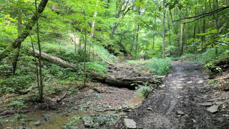 Barking Slopes Conservation Area - New Kensington, PA