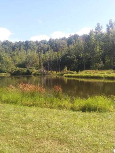 Montrose Campground - New Milford, PA
