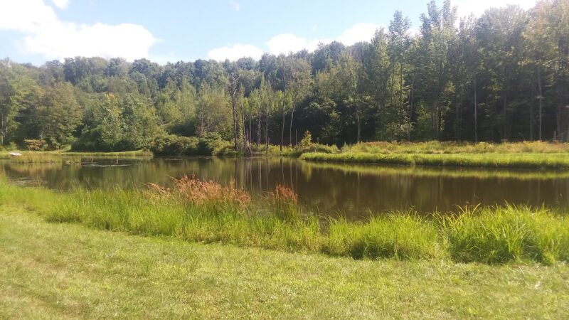 Montrose Campground - New Milford, PA