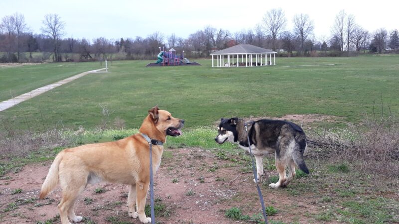 Cross Keys Community Dog Park - New Oxford, PA