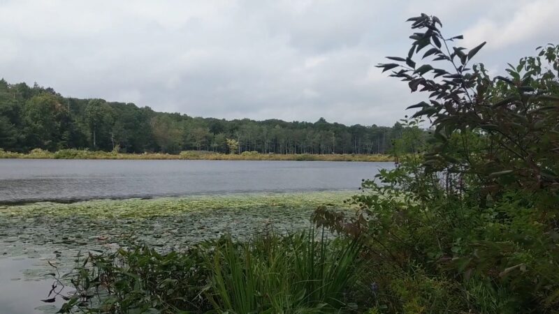 Shaupeneak Ridge Park - New Paltz, NY