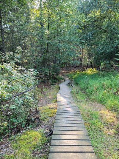 Shaupeneak Ridge Park - New Paltz, NY