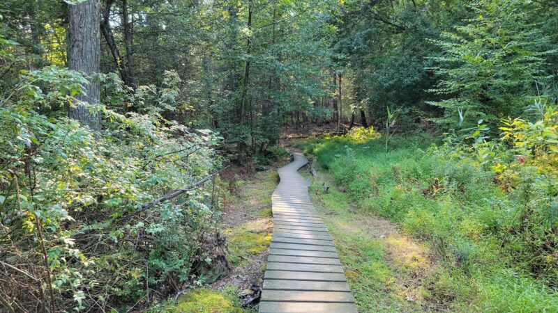 Shaupeneak Ridge Park - New Paltz, NY