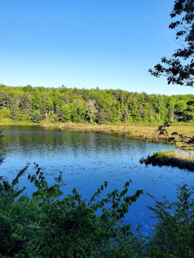 Shaupeneak Ridge Park - New Paltz, NY