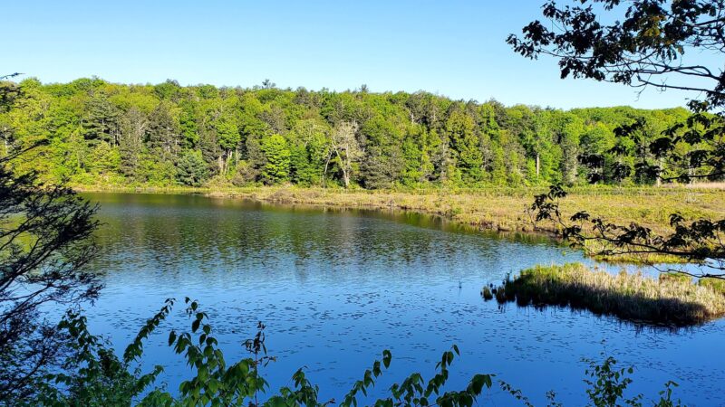 Shaupeneak Ridge Park - New Paltz, NY