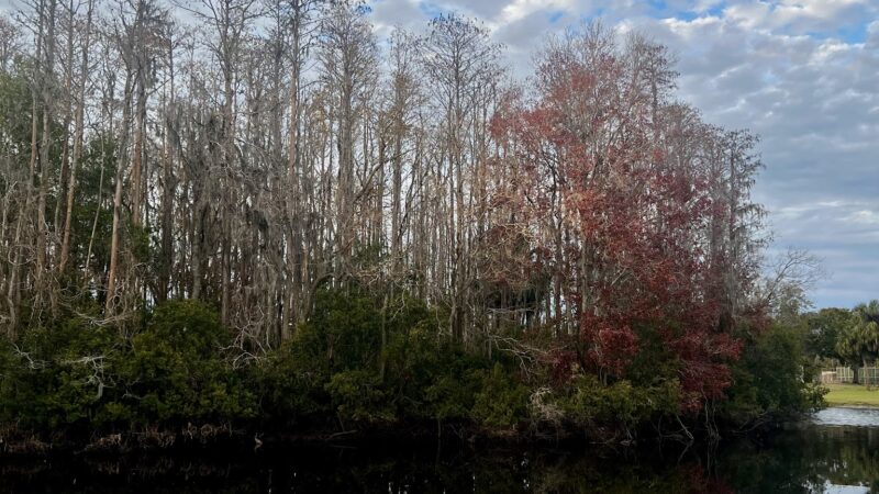 Restful Park: Starkey LL - New Port Richey, FL
