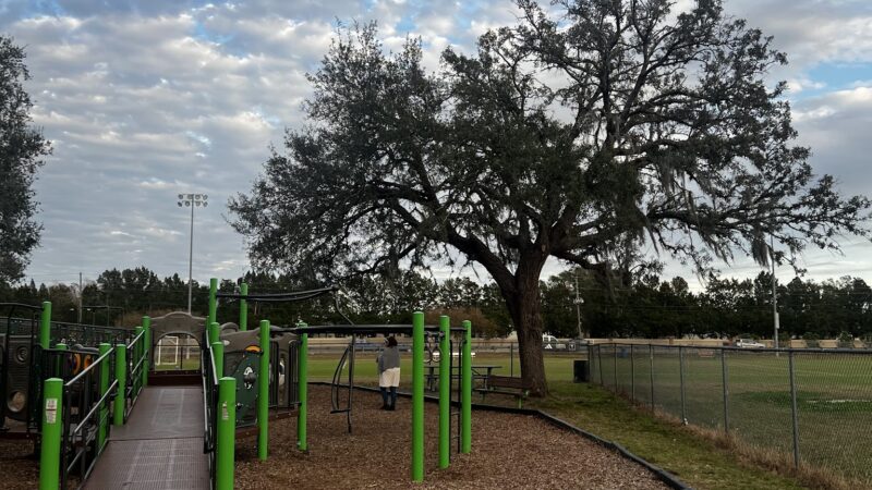Restful Park: Starkey LL - New Port Richey, FL