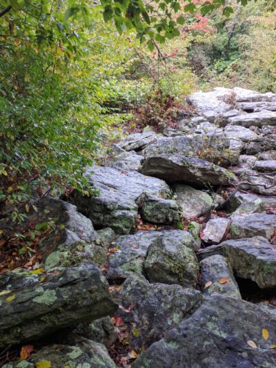 State Game Lands Number 106 - New Ringgold, PA