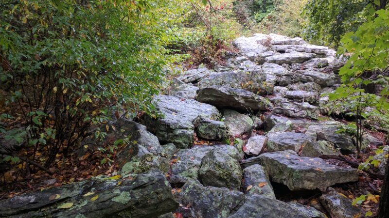 State Game Lands Number 106 - New Ringgold, PA