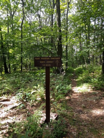 State Game Lands Number 106 - New Ringgold, PA