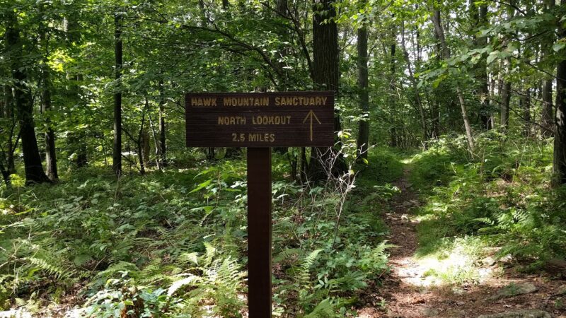 State Game Lands Number 106 - New Ringgold, PA