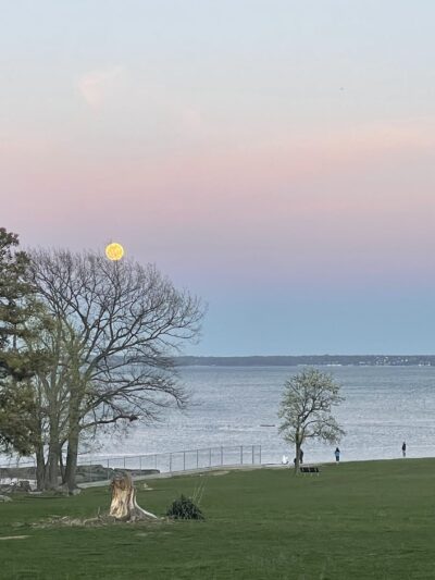 Davenport Park - New Rochelle, NY